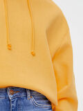 Pieces PCCHILLI HOODIE, Banana, highres - 17113437_Banana_007.jpg