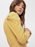 Pieces STRIBET BLUSE, Nugget Gold, highres - 17113460_NuggetGold_847355_006.jpg
