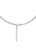 Pieces COLLAR, Silver Colour, highres - 17082585_SilverColour_006.jpg