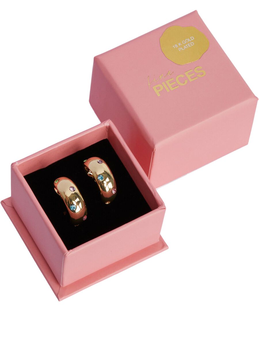 Pieces FPLOPE HOOP EARRINGS, Gold Colour, highres - 17139394_GoldColour_001.jpg