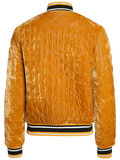 Pieces VELOURS BOMBER JAS, Nugget Gold, highres - 17094061_NuggetGold_002.jpg