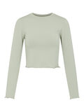 Pieces CROPPED LONG SLEEVED TOP, Desert Sage, highres - 17117098_DesertSage_001.jpg