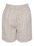 Pieces PCKINLEY HIGH WAISTED SHORTS, Nomad, highres - 17142472_Nomad_1059739_002.jpg
