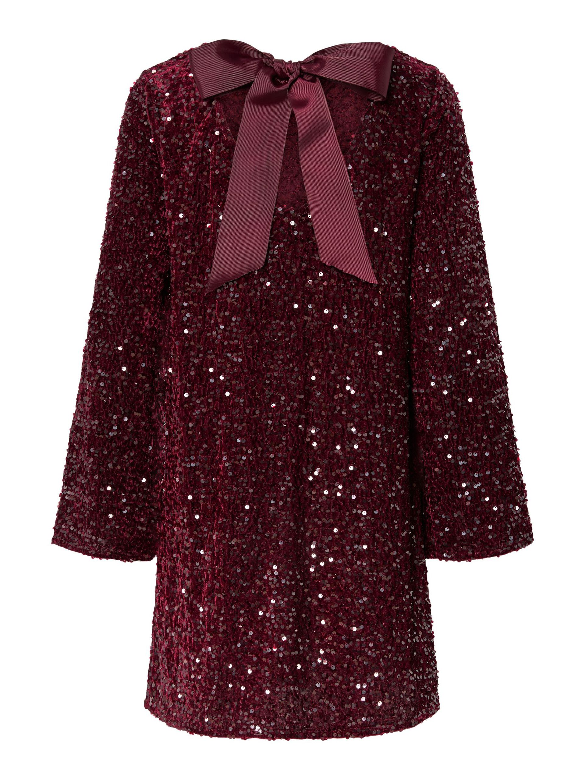 Carousel image - PCKAM SEQUIN MINI DRESS, Tawny Port | 7