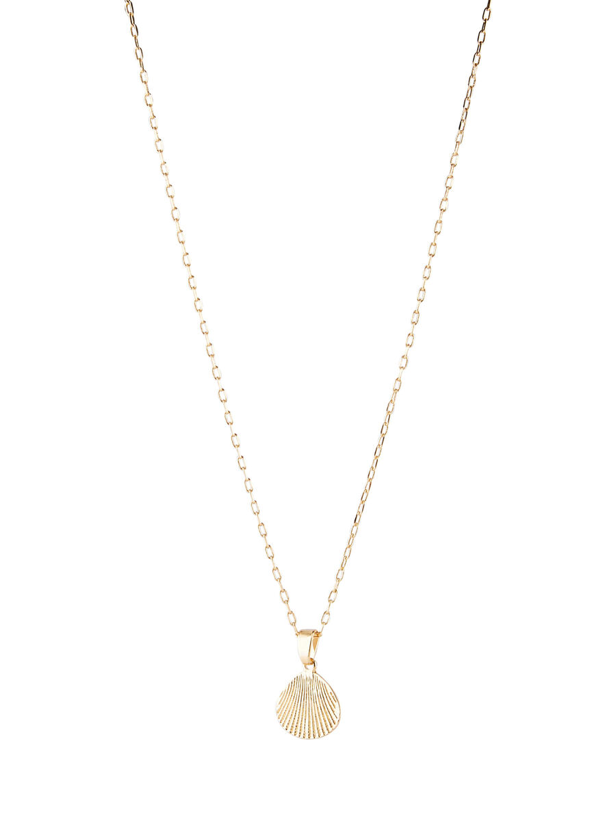 Pieces SCHELP HANGER KETTING, Gold Colour, highres - 17105205_GoldColour_008.jpg